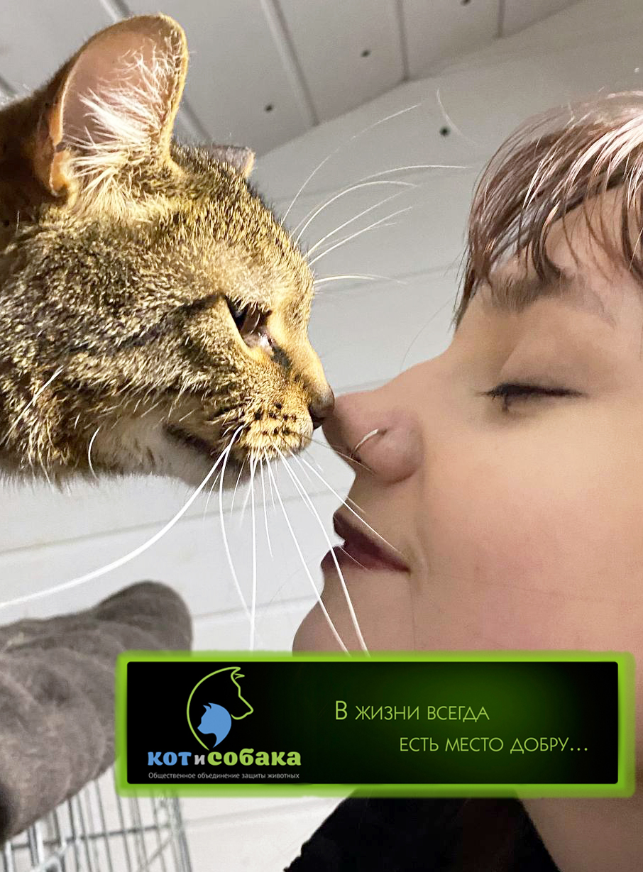 Тёплые лапы – чистые сердца!
